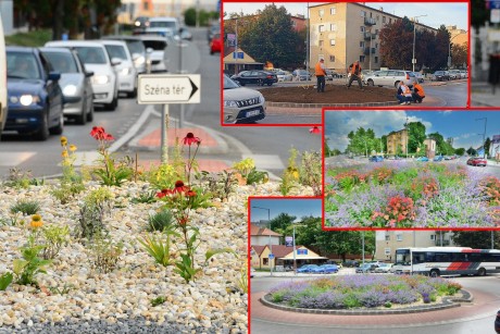 Évelő virágtenger lesz a Vörösmarty tér járdaszigeteiben